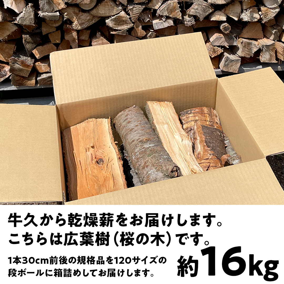 牛久市産 乾燥 薪 桜 ( さくら ) 約 16kg 天然木 マキ 乾燥薪 広葉樹 キャンプ アウトドア 焚火 焚き火 薪ストーブ 暖炉 たき火 野外 屋外 バーベキュー薪 ピザ窯の薪 グリル焼