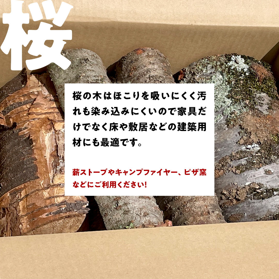 牛久市産 乾燥 薪 桜 ( さくら ) 約 16kg 天然木 マキ 乾燥薪 広葉樹 キャンプ アウトドア 焚火 焚き火 薪ストーブ 暖炉 たき火 野外 屋外 バーベキュー薪 ピザ窯の薪 グリル焼