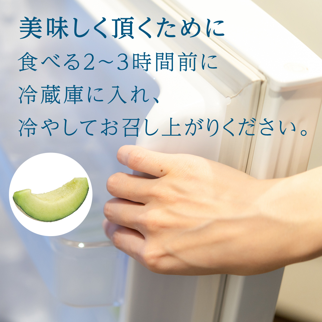 茨城県産 アールスメロン 秀品 3L サイズ × 2玉 入り おすすめ JA全農いばらき JA 【 2024年8月下旬から発送 】 メロン めろん ふるさと納税 フルーツ 予約 マスクメロン くだもの 果物 国産旬 定番 旬 期間限定 青肉 果物