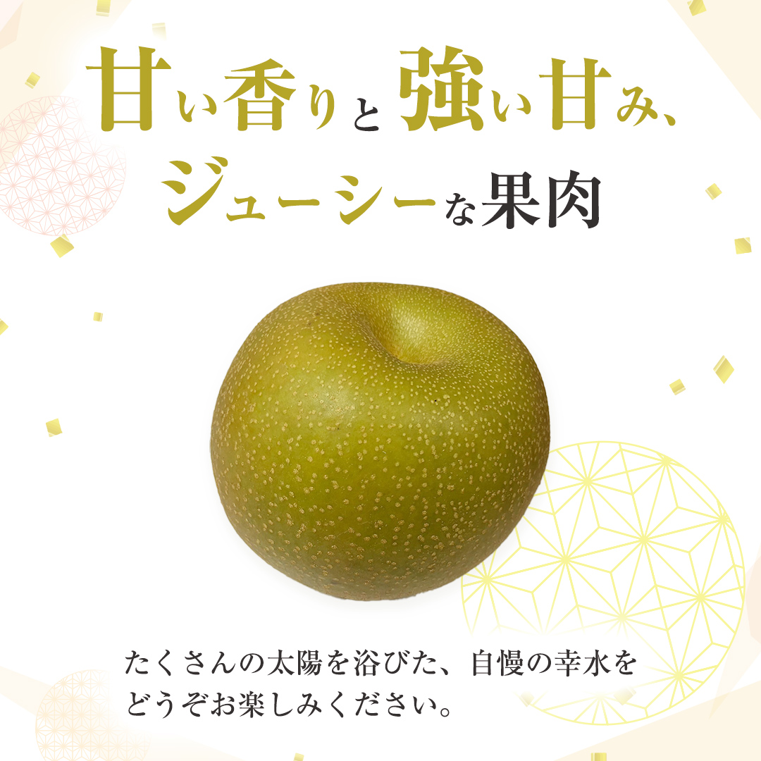 茨城県産 梨 幸水 （約 5kg ） 10～16玉 梨 なし 和梨 日本梨 果物 フルーツ 新鮮 旬 期間限定 国産