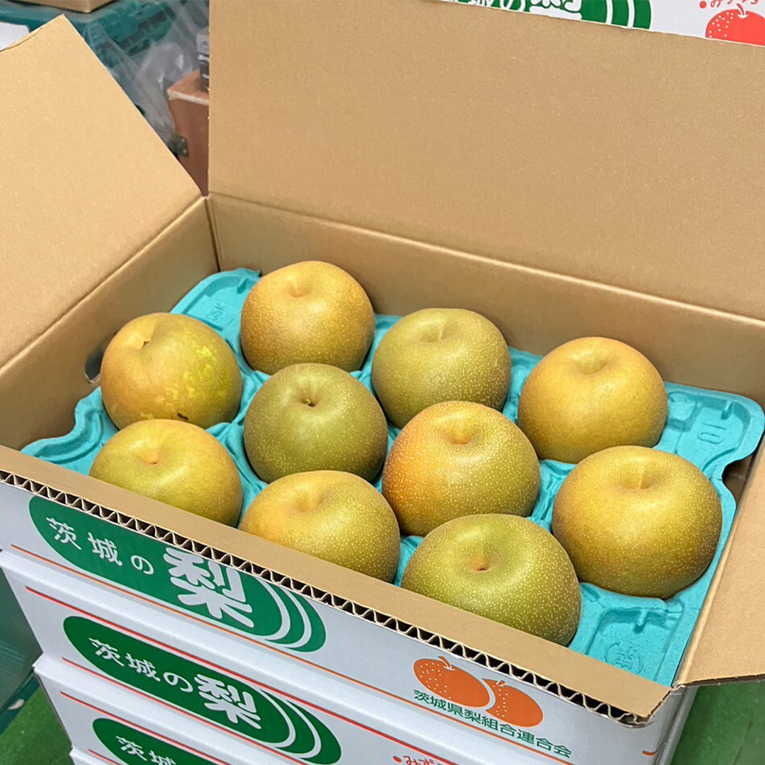 茨城県産 梨 幸水 （約 5kg ） 10～16玉 梨 なし 和梨 日本梨 果物 フルーツ 新鮮 旬 期間限定 国産