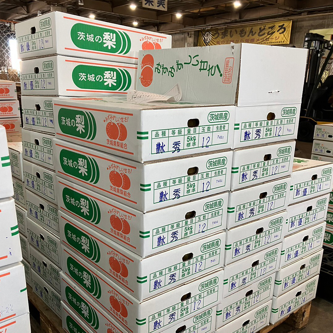 茨城県産 梨 豊水 （約 5kg ） 10～16玉 梨 なし 和梨 日本梨 果物 フルーツ 新鮮 旬 期間限定 国産