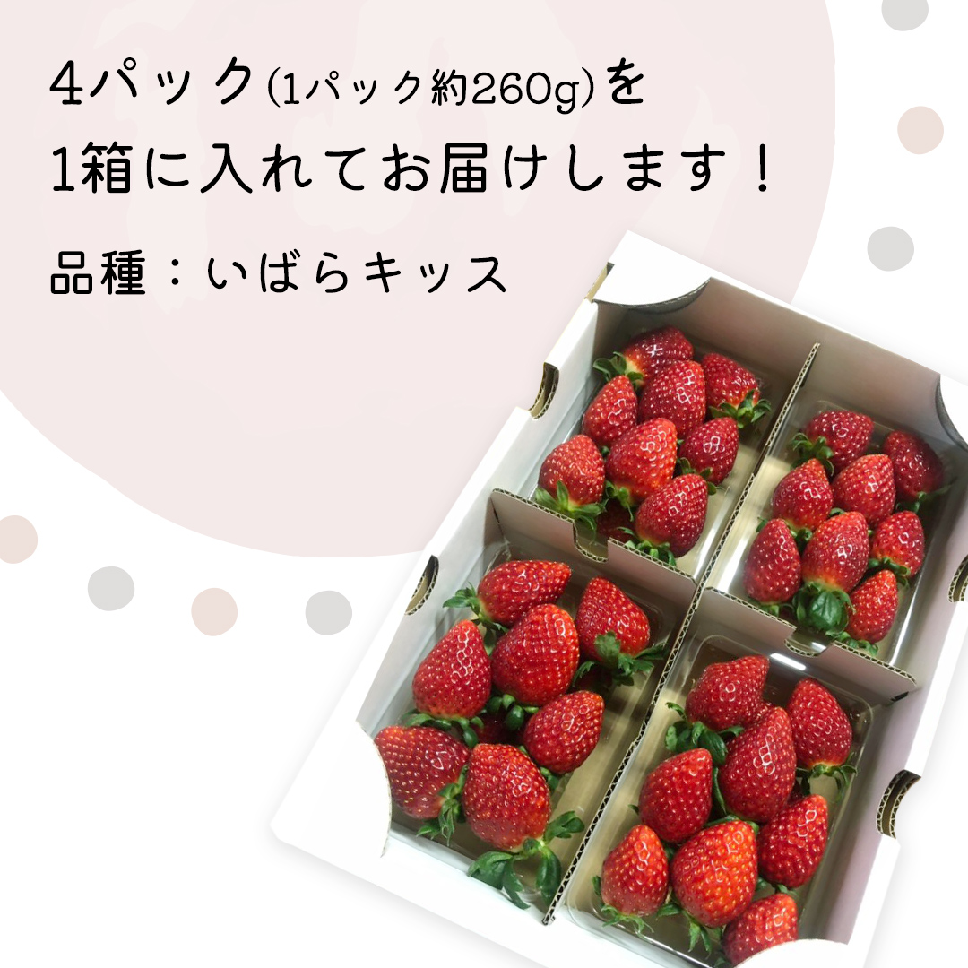 【 先行予約 】 茨城県品種 いばら キッス ( 4パック×1箱 )【 2025年1月から発送開始 】 ( 茨城県共通返礼品 : 常陸太田市 ) 約 260g × 4 パック いばらキッス いばらきっす いちご 数量限定 果物 くだもの フルーツ 苺 イチゴ 期間限定