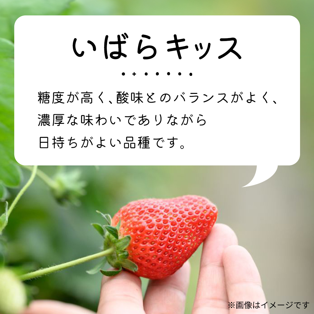 【 先行予約 】いちご 3種 食べ比べセット（4パック×1箱)【 2025年1月から発送開始 】 ( 茨城県共通返礼品 : 常陸太田市 ) 約 260g × 4パック いばらキッス ひたち姫 やよいひめ から 厳選して お届け 数量限定 果物 くだもの フルーツ 苺 イチゴ 期間限定