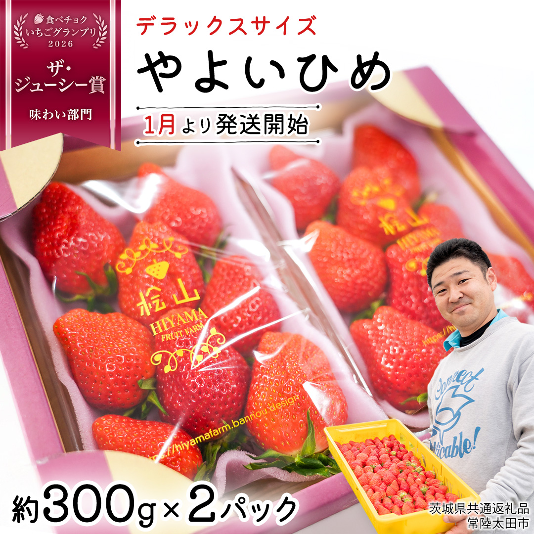 「食べチョクいちごグランプリ2026」味わい部門「ザ・ジューシー賞」受賞 やよいひめ ( 2パック ) 特大 デラックス サイズ 【 2026年1月から発送開始 】 ( 茨城県共通返礼品 : 常陸太田市 ) 約 300g × 2 パック やよいひめ ヤヨイヒメ 弥生姫 いちご 数量限定 果物 くだもの フルーツ 苺 イチゴ 期間限定