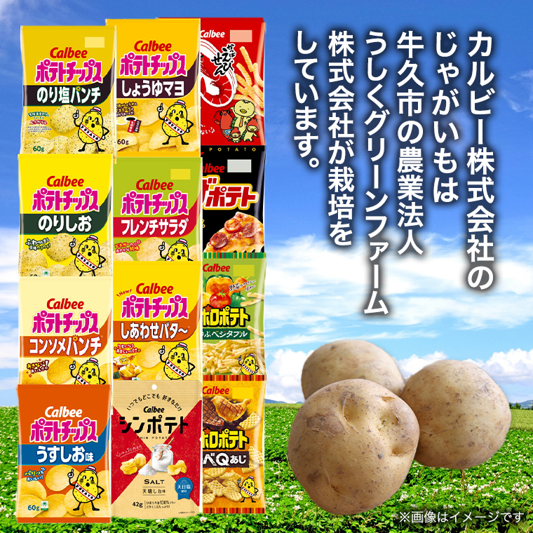 カルビー 湖池屋 人気 24種 詰め合わせ お楽しみ スナック菓子 セット カルビー 湖池屋 ポテトチップス ポテチ お菓子 おかし 大量 スナック おつまみ ジャガイモ じゃがいも まとめ買い Calbee ポテト おまかせ 数量限定