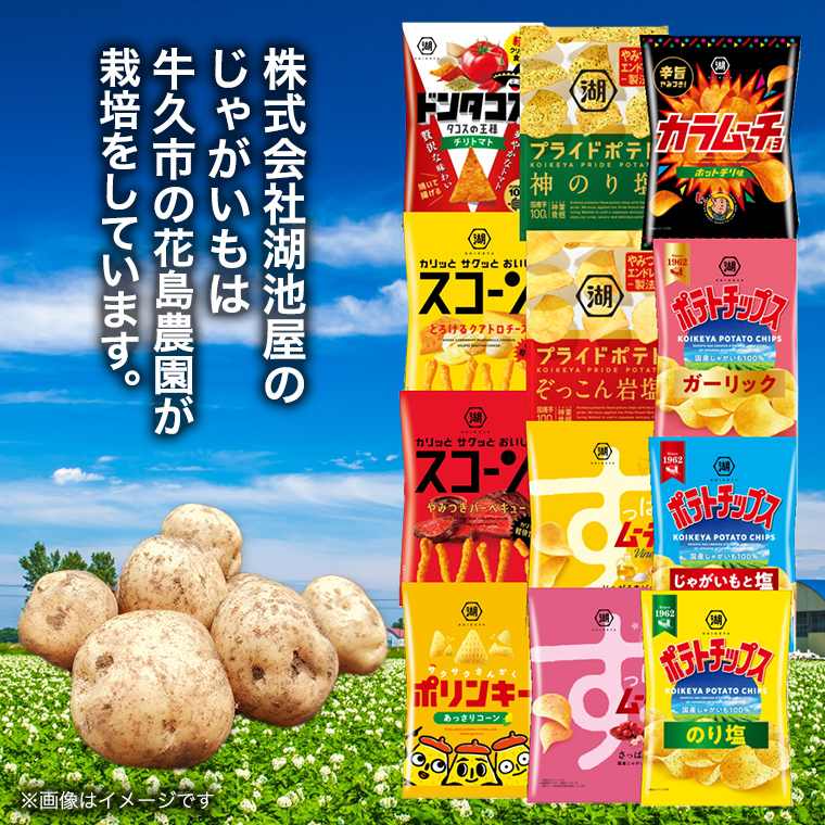 カルビー 湖池屋 人気 24種 詰め合わせ お楽しみ スナック菓子 セット カルビー 湖池屋 ポテトチップス ポテチ お菓子 おかし 大量 スナック おつまみ ジャガイモ じゃがいも まとめ買い Calbee ポテト おまかせ 数量限定