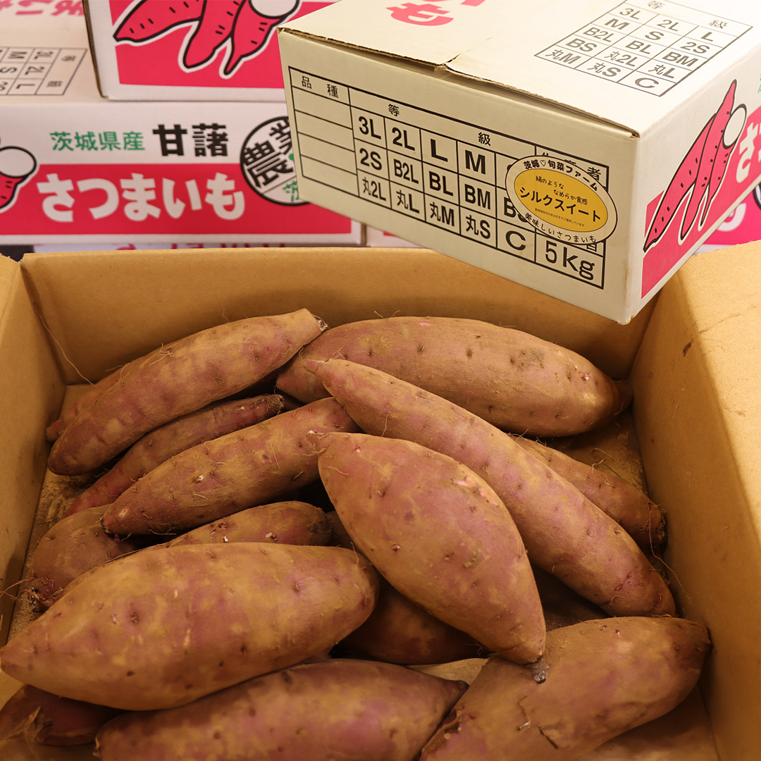 さつまいも 【 シルクスイート 】 5kg ( 箱込 ) サツマイモ さつま芋 芋 いも 野菜 焼き芋 スイーツ おやつ 国産