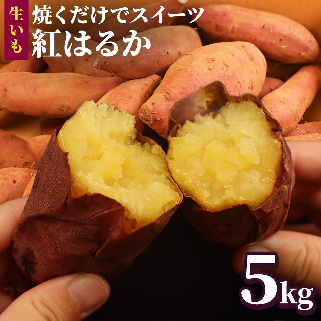 さつまいも 【 紅はるか 】 5kg ( 箱込 ) サツマイモ さつま芋 芋 いも べにはるか 野菜 焼き芋 スイーツ おやつ 国産