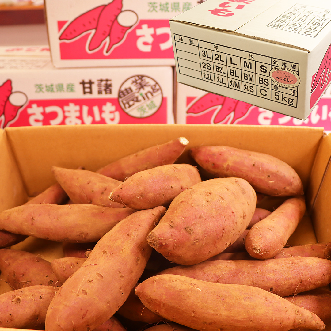 さつまいも 【 紅はるか 】 5kg ( 箱込 ) サツマイモ さつま芋 芋 いも べにはるか 野菜 焼き芋 スイーツ おやつ 国産