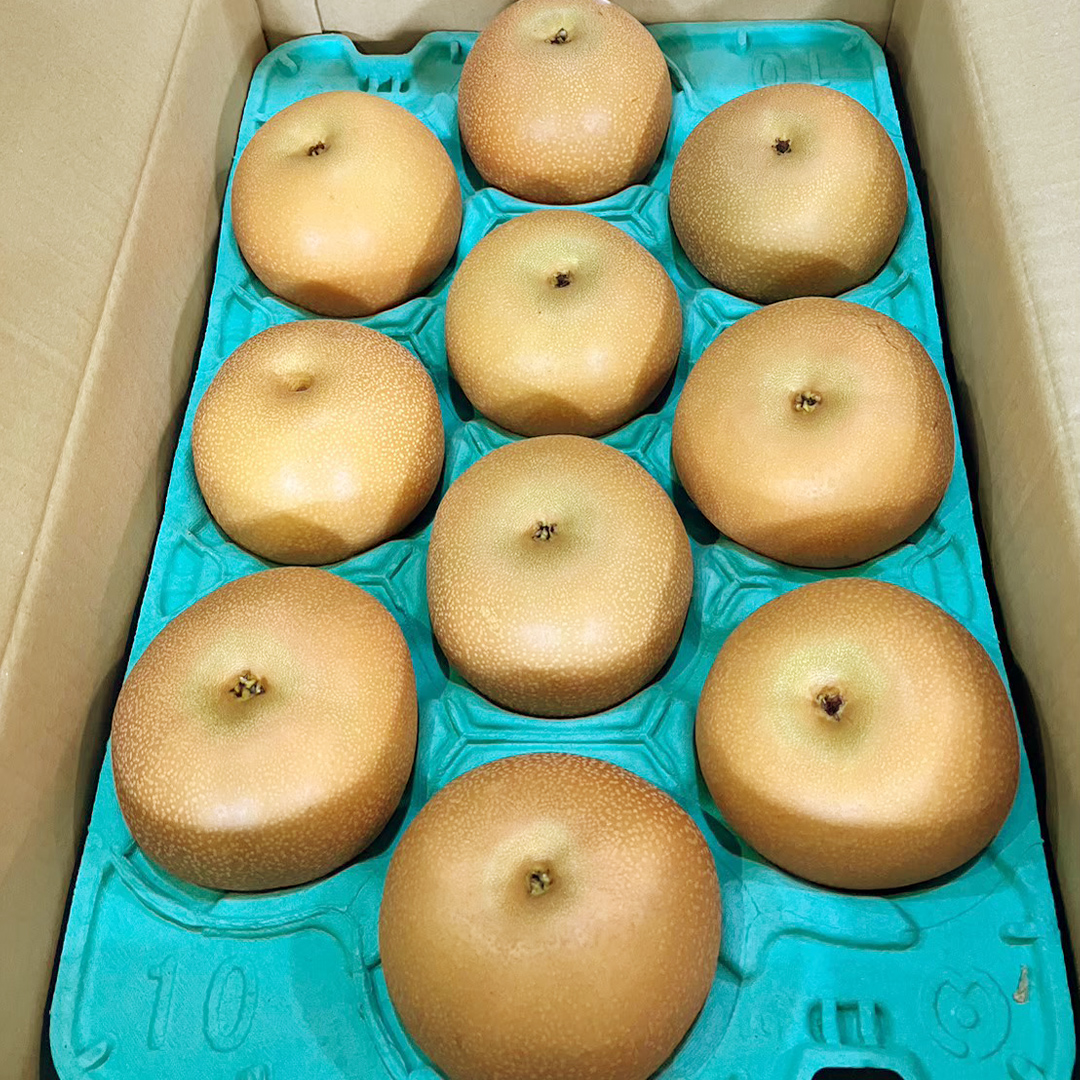 茨城県産 梨 秋月 （約 5kg ） 10～16玉 フルーツ 果物 なし ナシ 旬 新鮮 期間限定 甘い 国産
