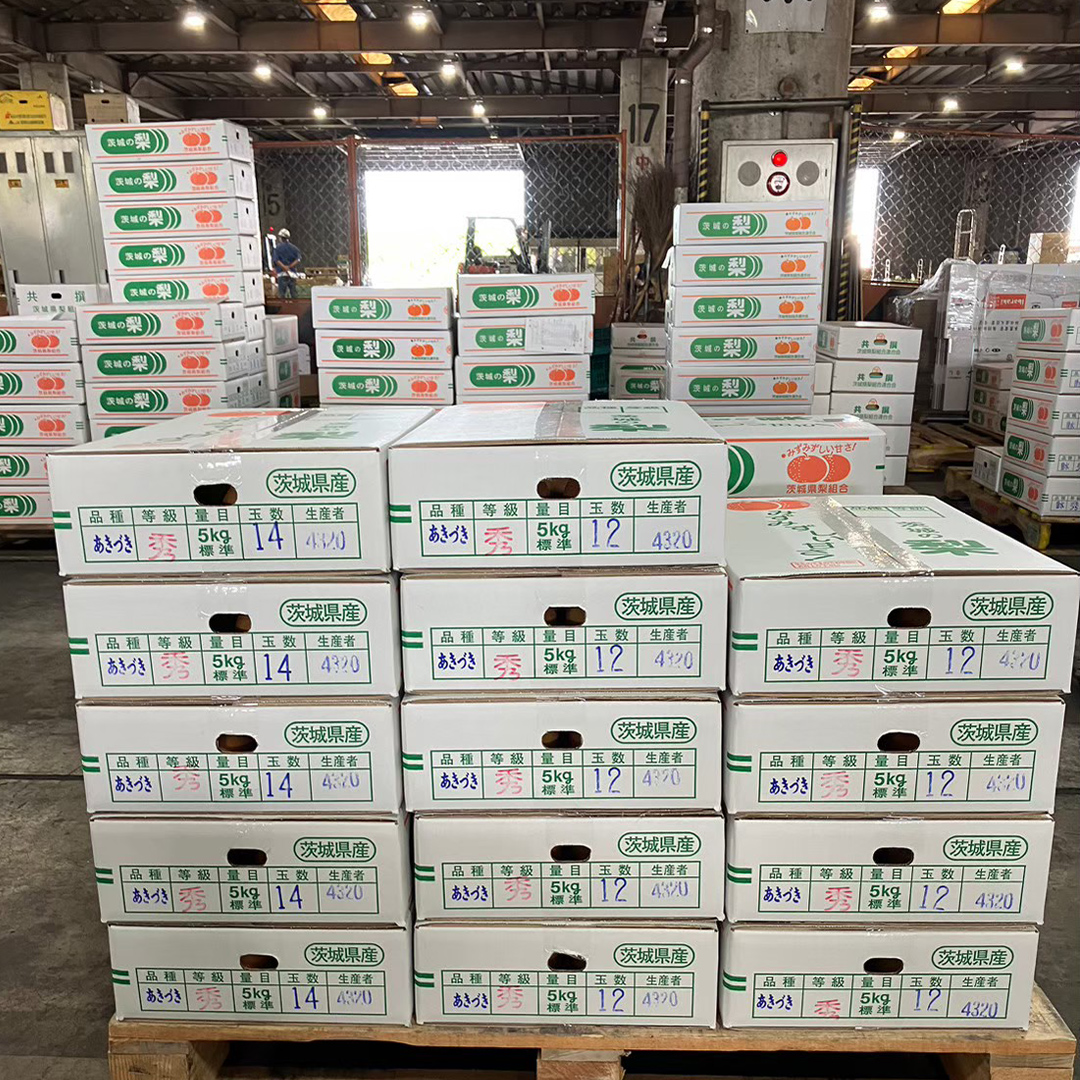 茨城県産 梨 秋月 （約 5kg ） 10～16玉 フルーツ 果物 なし ナシ 旬 新鮮 期間限定 甘い 国産