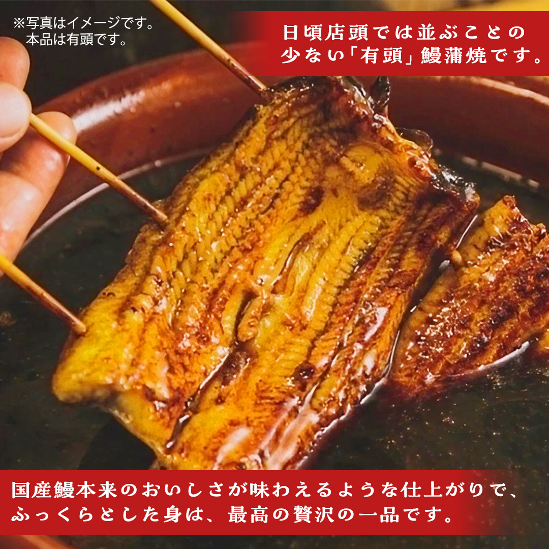 鹿児島県産 有頭 鰻 蒲焼 × 2尾 （ 1尾 135g ～ 155g 以上） うなぎ ウナギ 土用丑の日 家庭用 贅沢 国産 旬 敬老の日 タレ 山椒 付 縁起 土用の丑の日