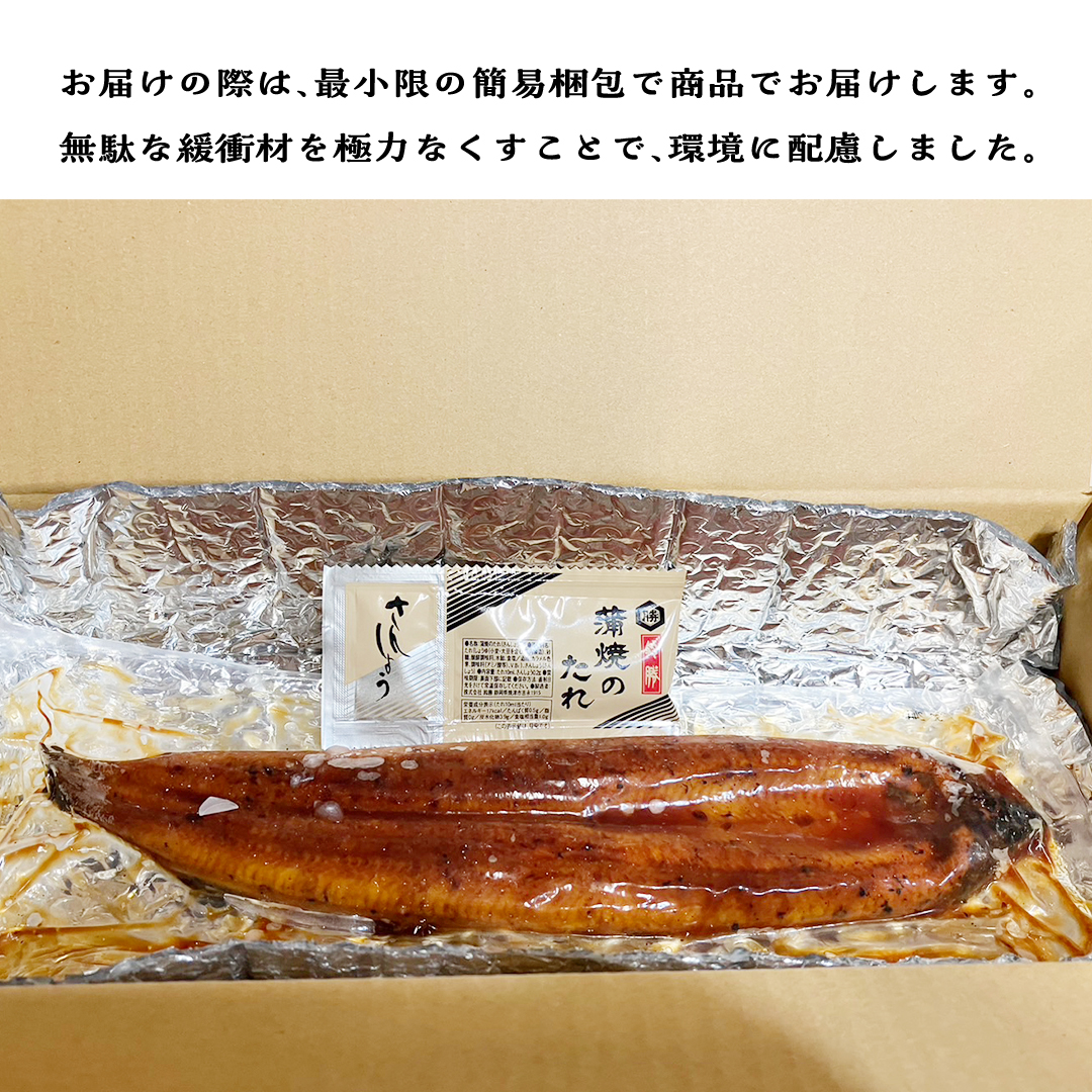 鹿児島県産 有頭 鰻 蒲焼 × 2尾 （ 1尾 135g ～ 155g 以上） うなぎ ウナギ 土用丑の日 家庭用 贅沢 国産 旬 敬老の日 タレ 山椒 付 縁起 土用の丑の日