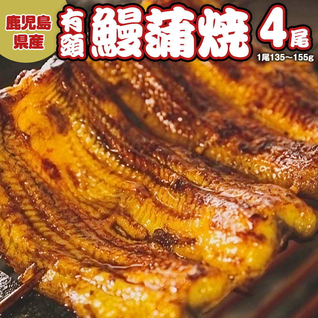 鹿児島県産 有頭 鰻 蒲焼 × 4尾 （ 1尾 135g ～ 155g 以上） うなぎ ウナギ 土用丑の日 家庭用 贅沢 国産 旬 敬老の日 タレ 山椒 付 縁起 土用の丑の日