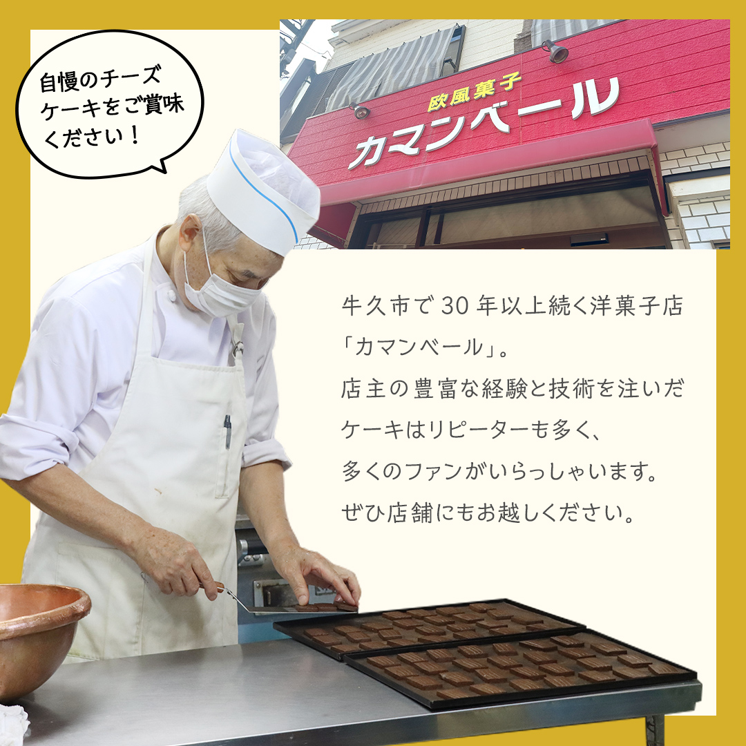 【 3ヶ月 連続 定期便 】 人気 チーズケーキ 3種 （ 各月 1種 お届け ） ホールケーキ  6号 詰合せ 食べ比べ 冷蔵 スイーツ デザート お菓子 洋菓子 ケーキ 焼き菓子 濃厚 ベイクド チーズ スフレ パンプキン 老舗 洋菓子店 ハロウィン