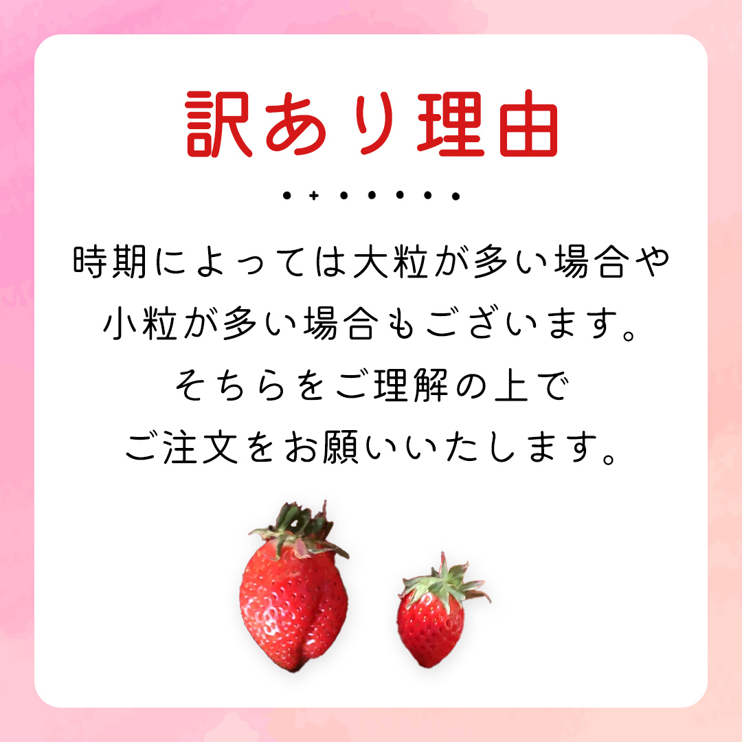 【 先行予約 】《 いばらキッス 》ちょっと訳あり イチゴ たっぷり800g バラ詰め 《 2025年2月以降発送 》（茨城県共通返礼品／常陸太田市） 訳あり いちご 苺 高糖度 甘い 加工用 生食用 ジャム 製菓用 朝採れ 新鮮 数量限定 期間限定