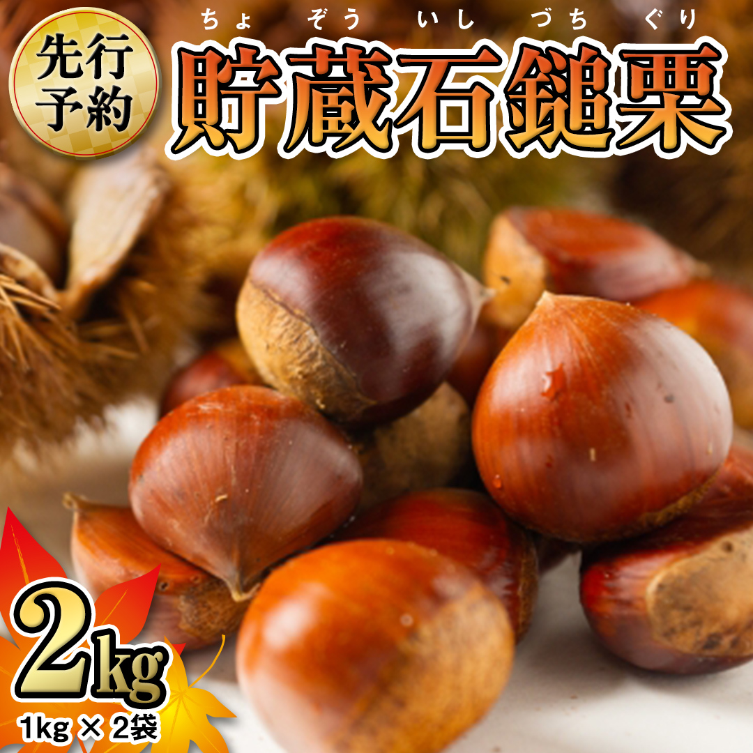 《 先行予約 》 茨城県産 貯蔵 石鎚 栗 2kg （ 1kg × 2袋 ） JA全農いばらき JA 先行予約 【 2024年12月中旬から発送開始 】 いしづち くり くり クリ 栗ごはん ギフト 果物 フルーツ 冬 正月 おせち