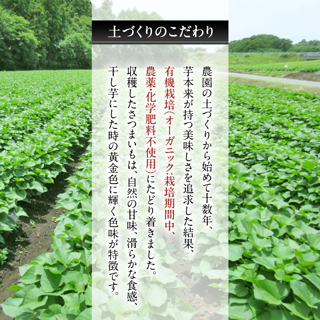 【先行予約】 茨城県産 紅はるか 干し芋 平干し 5kg ( 250g × 20袋 ） 干しいも ほし芋 甘い おいしい 美味しい しっとり 紅はるか べにはるか いも イモ スイーツ 和スイーツ お菓子 おやつ おつまみ お取り寄せ 国産 茨城 特産品