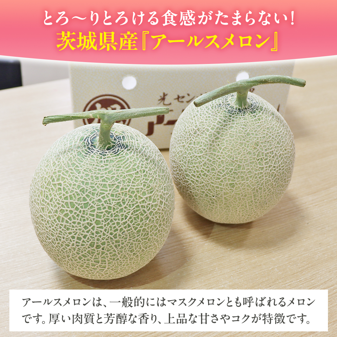 【 先行予約 】茨城県産 アールスメロン 秀品 3L サイズ × 2玉 入り おすすめ JA全農いばらき JA メロン めろん ふるさと納税 フルーツ 予約 マスクメロン くだもの 果物 国産旬 定番 旬 期間限定 青肉 果物 【 2025年8月下旬から発送 】