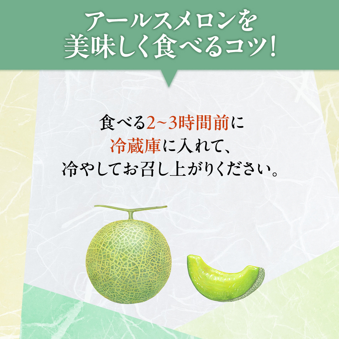 【 先行予約 】茨城県産 アールスメロン 秀品 3L サイズ × 2玉 入り おすすめ JA全農いばらき JA メロン めろん ふるさと納税 フルーツ 予約 マスクメロン くだもの 果物 国産旬 定番 旬 期間限定 青肉 果物 【 2025年8月下旬から発送 】