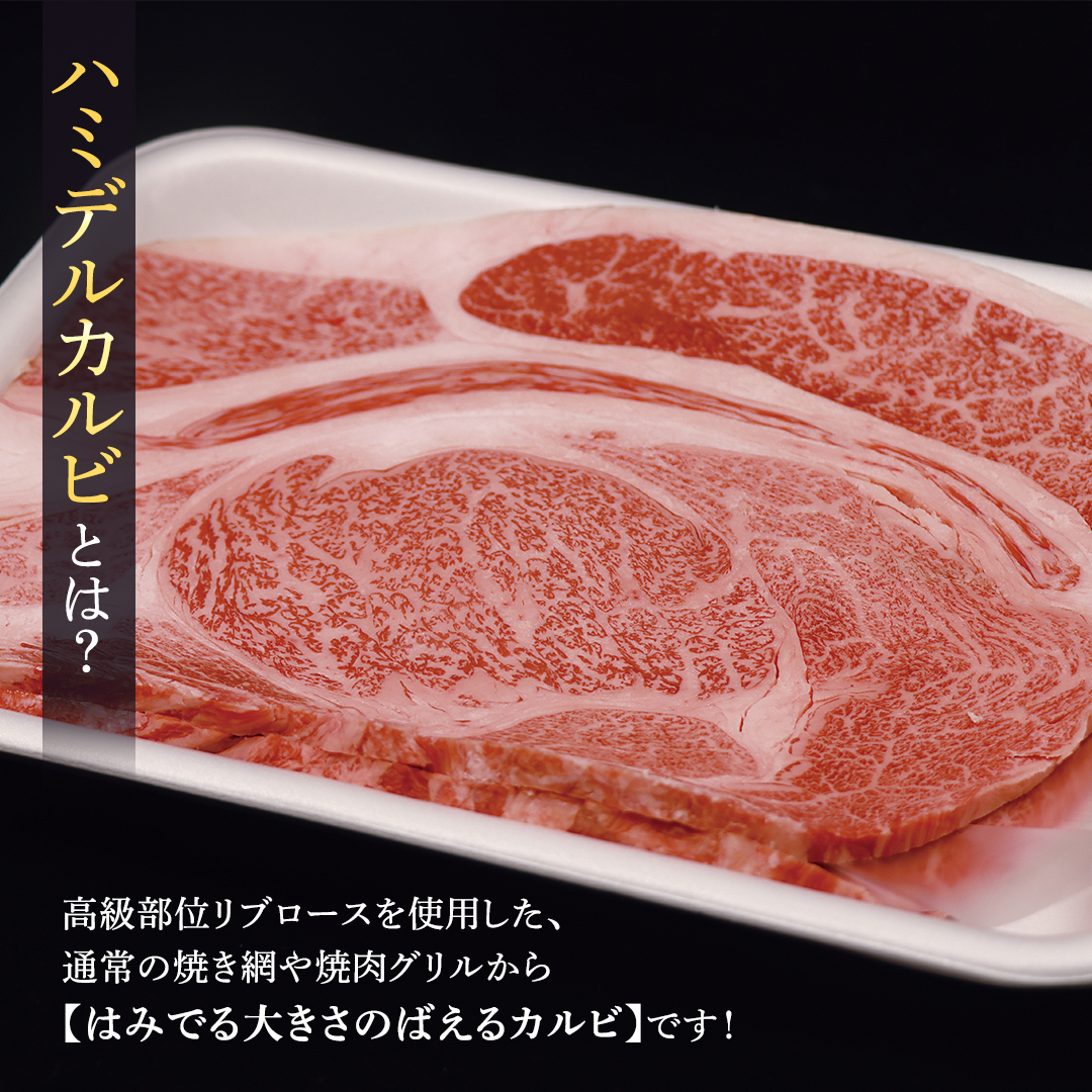 常陸牛 ハミデルカルビ 500g （ 3～ 5枚 ） (茨城県共通返礼品) 国産 焼き肉 カブリ ゲタ リブ芯 リブ巻 中落ちカルビ バーベキュー BBQ お肉 ブランド牛 黒毛和牛 和牛 国産黒毛和牛 国産牛 牛肉
