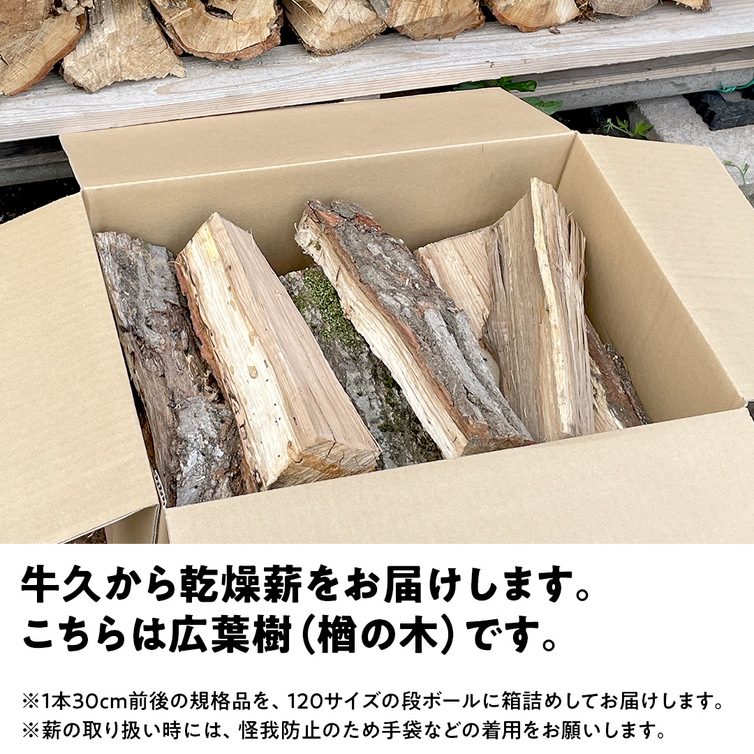 牛久市産 乾燥 薪 楢 ( なら ) 約14kg～16kg 天然木 マキ 乾燥薪 広葉樹 キャンプ アウトドア 焚火 焚き火 薪ストーブ 暖炉 たき火 野外 屋外 バーベキュー薪 ピザ窯の薪 グリル焼