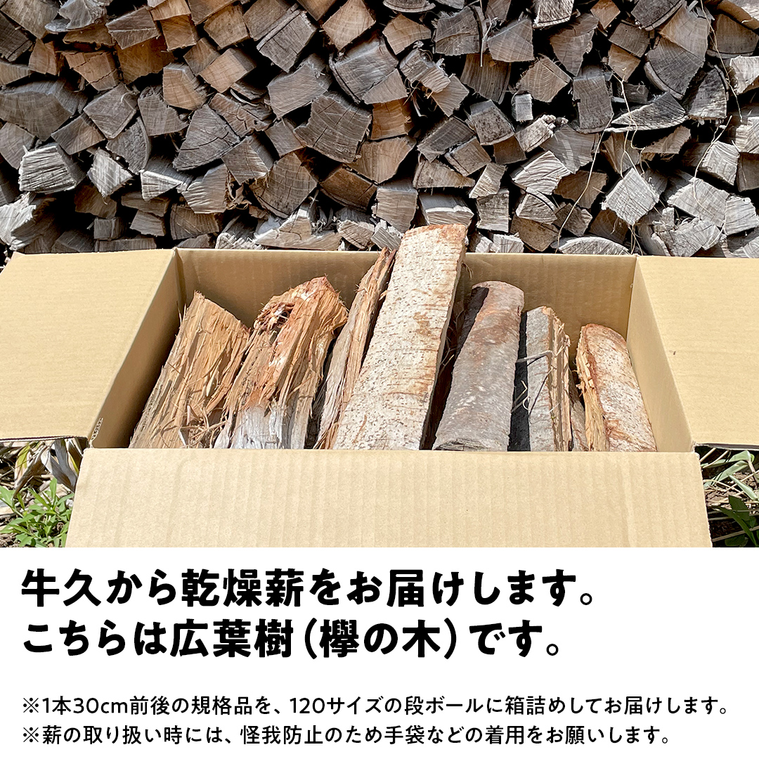 牛久市産 乾燥 薪 欅 ( けやき ) 約14kg～16kg 天然木 マキ 乾燥薪 広葉樹 キャンプ アウトドア 焚火 焚き火 薪ストーブ 暖炉 たき火 野外 屋外 バーベキュー薪 ピザ窯の薪 グリル焼