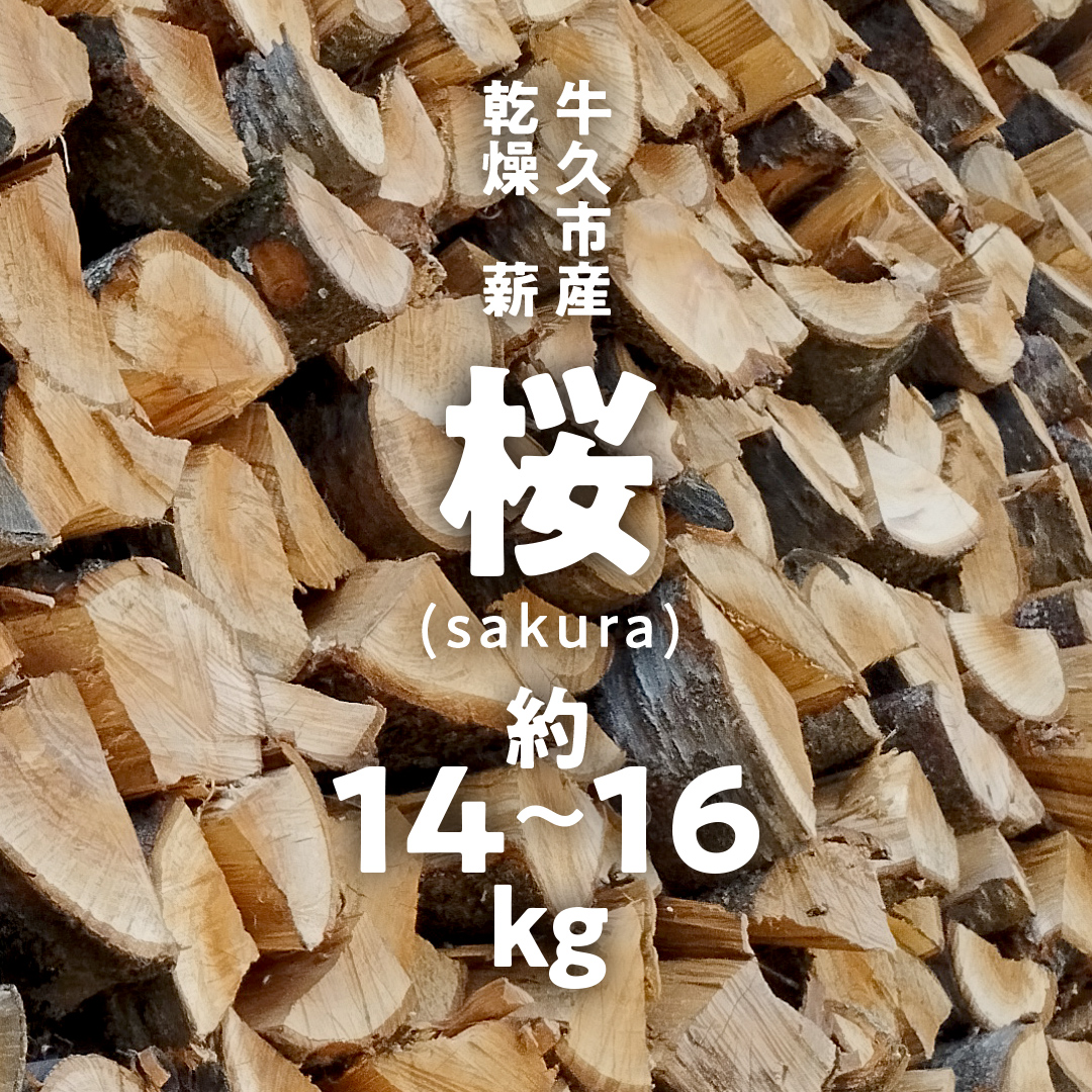 牛久市産 乾燥 薪 桜 ( さくら ) 約14kg～16kg 天然木 マキ 乾燥薪 広葉樹 キャンプ アウトドア 焚火 焚き火 薪ストーブ 暖炉 たき火 野外 屋外 バーベキュー薪 ピザ窯の薪 グリル焼