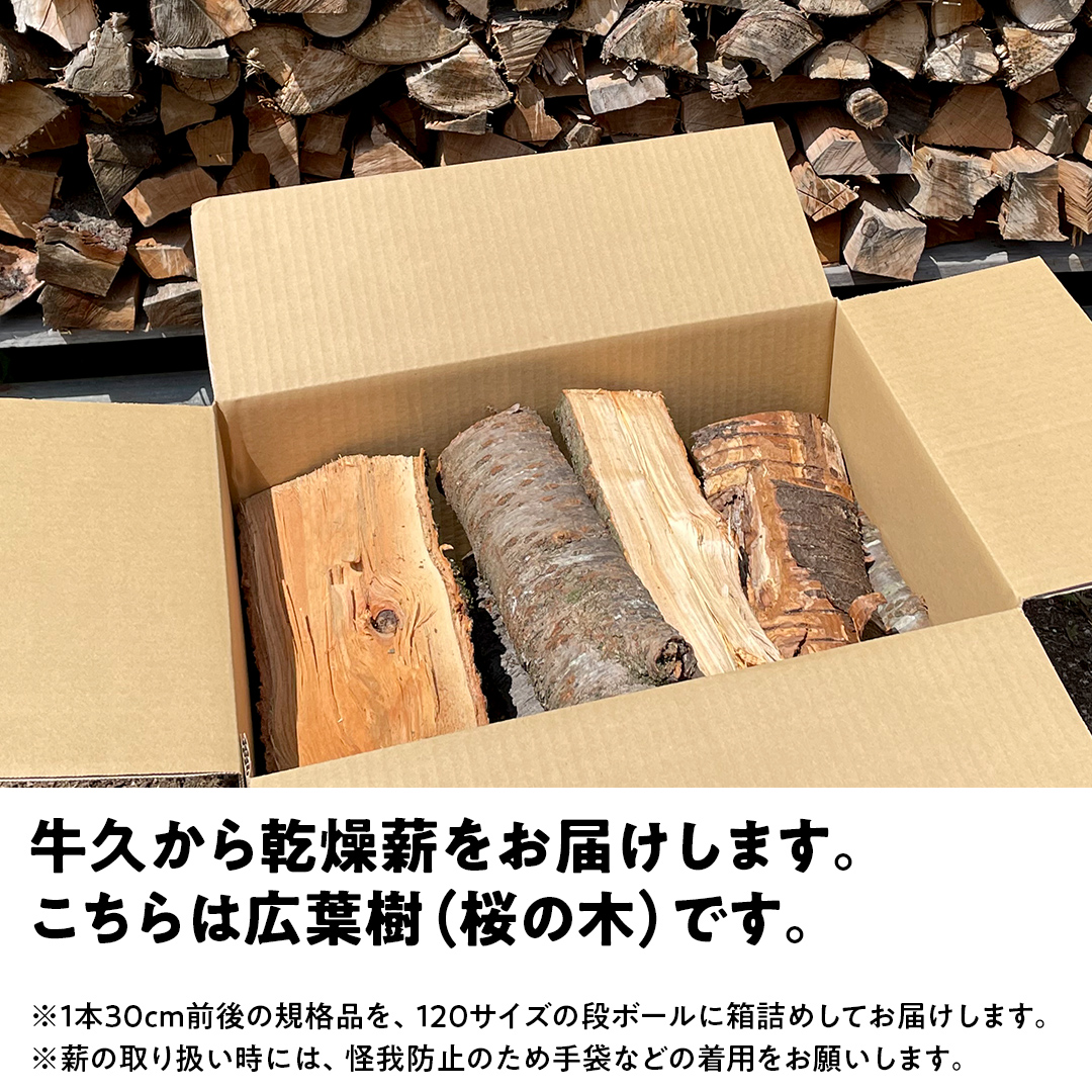 牛久市産 乾燥 薪 桜 ( さくら ) 約14kg～16kg 天然木 マキ 乾燥薪 広葉樹 キャンプ アウトドア 焚火 焚き火 薪ストーブ 暖炉 たき火 野外 屋外 バーベキュー薪 ピザ窯の薪 グリル焼