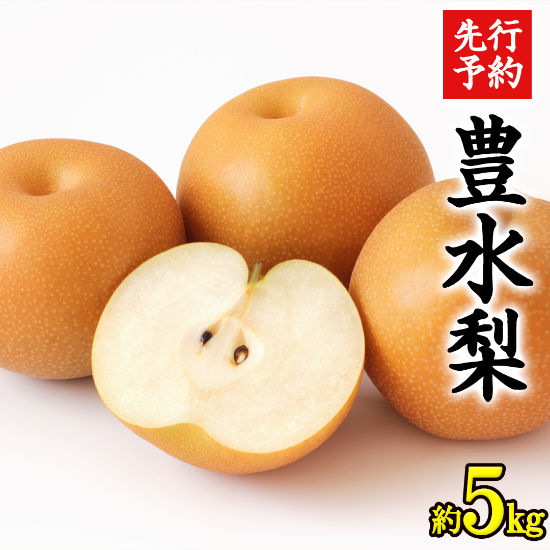 《 先行予約 》 茨城県産 梨 豊水 （約 5kg）【 2026年 9月上旬頃より発送開始 】 梨 なし 果物 フルーツ 新鮮 旬 期間限定 甘い 国産