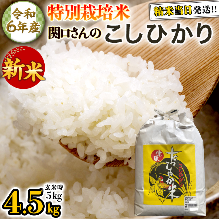 《 特別栽培米 》 令和6年産 精米日出荷 関口さんの「 こしひかり 」 4.5kg ( 玄米時 5kg ) 新鮮 精米 コシヒカリ 米 こめ コメ 特別栽培農産物 認定米 新米