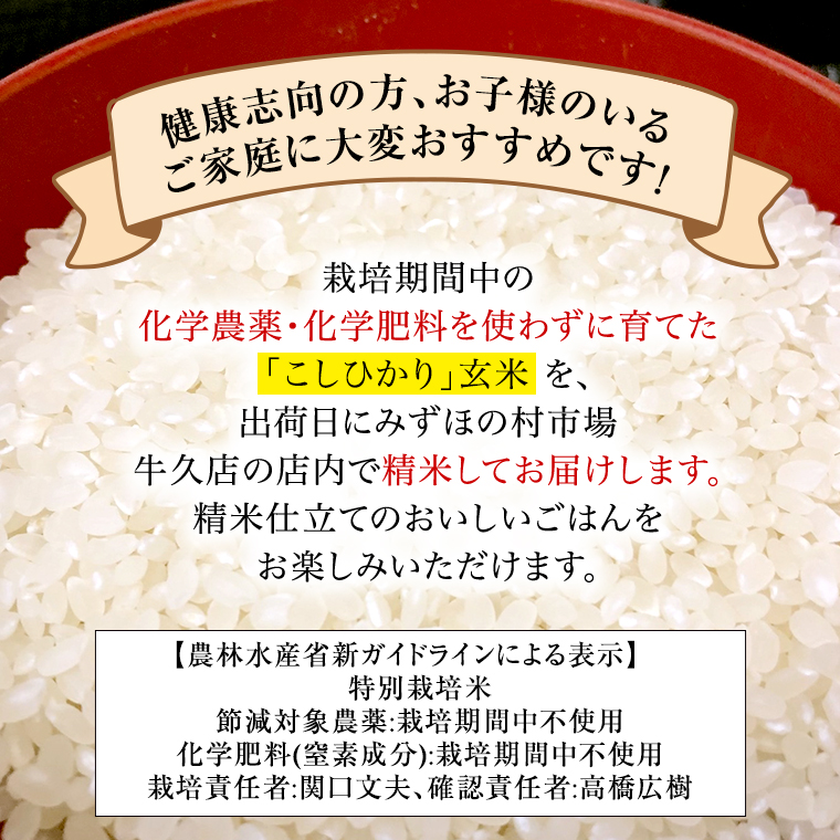 《 特別栽培米 》 令和6年産 精米日出荷 関口さんの「 こしひかり 」 4.5kg ( 玄米時 5kg ) 新鮮 精米 コシヒカリ 米 こめ コメ 特別栽培農産物 認定米 新米