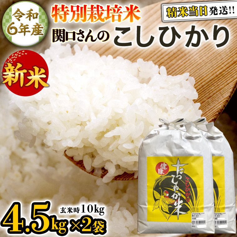 《 特別栽培米 》 令6年産 精米日出荷 関口さんの「 こしひかり 」 4.5kg × 2袋 ( 玄米時 10kg ) 新鮮 精米 コシヒカリ 米 こめ コメ 特別栽培農産物 認定米 新米