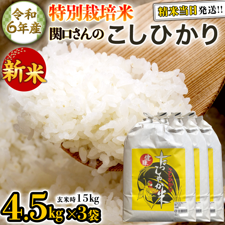 《 特別栽培米 》 令和6年産 精米日出荷 関口さんの「 こしひかり 」 4.5kg × 3袋 ( 玄米時 15kg ) 新鮮 精米 コシヒカリ 米 こめ コメ 特別栽培農産物 認定米 新米