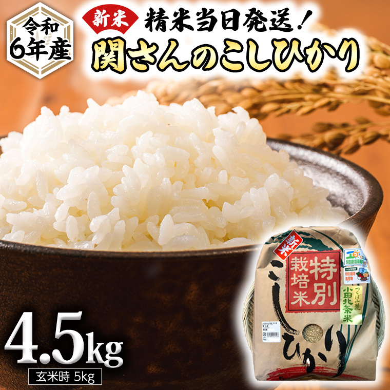 《 特別栽培米 》 令和6年産 精米日出荷 関さんの「 こしひかり 」 4.5kg ( 玄米時 5kg ) 新鮮 コシヒカリ 精米 米 こめ コメ 特別栽培農産物 認定米 新米