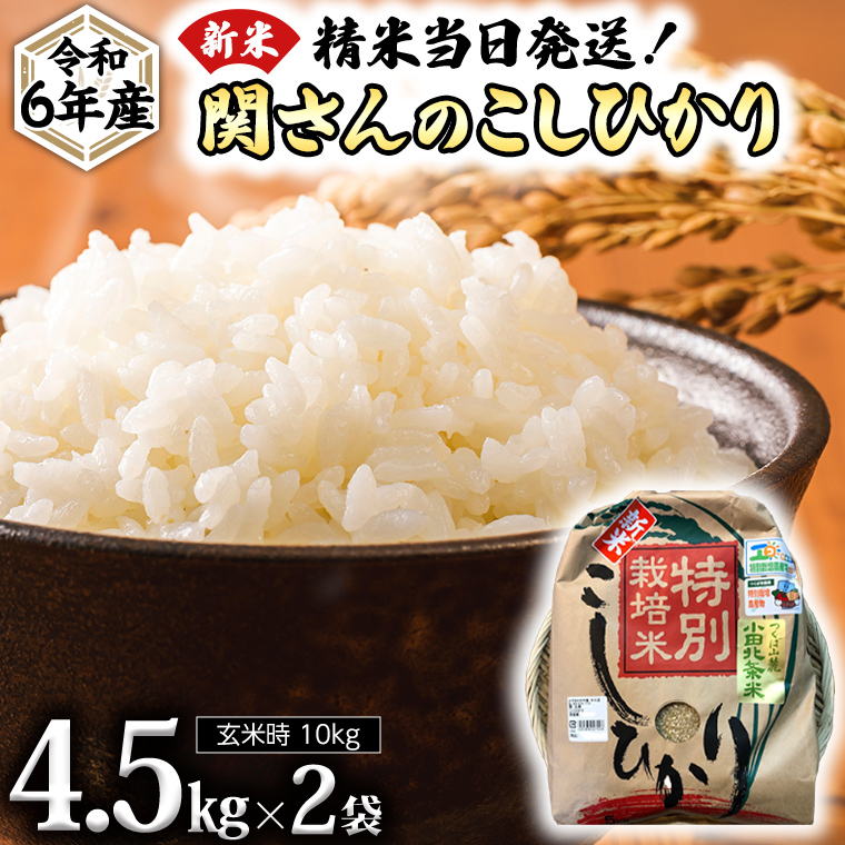 《 特別栽培米 》 令和6年産 精米日出荷 関さんの「 こしひかり 」 4.5kg ( 玄米時 5kg ) 新鮮 コシヒカリ 精米 米 こめ コメ 特別栽培農産物 認定米 新米