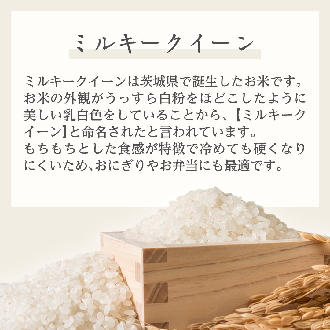 《令和6年産》茨城県産 ミルキークイーン 10kg ( 5kg × 2袋 )  米 コメ こめ 五ツ星 高品質 白米 精米 お弁当 期間限定 新米