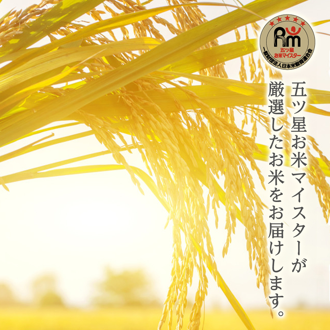 《 令和6年産 》 茨城県産 コシヒカリ 20kg ( 5kg × 4袋 ) 期間限定 こしひかり 米 コメ こめ 五ツ星 高品質 白米 精米 時短 単一米 新米