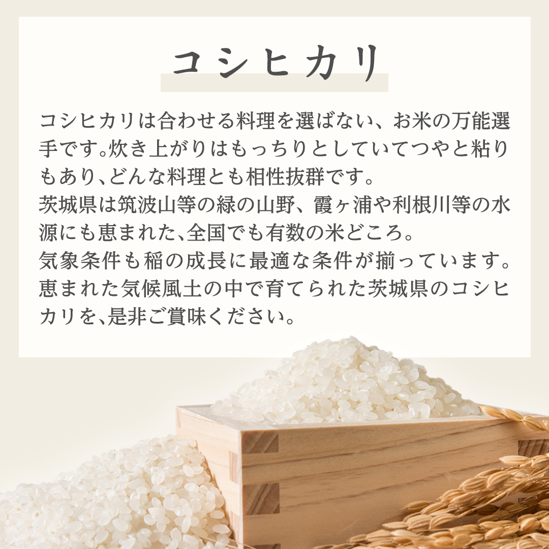 《 令和6年産 》 茨城県産 コシヒカリ 20kg ( 5kg × 4袋 ) 期間限定 こしひかり 米 コメ こめ 五ツ星 高品質 白米 精米 時短 単一米 新米