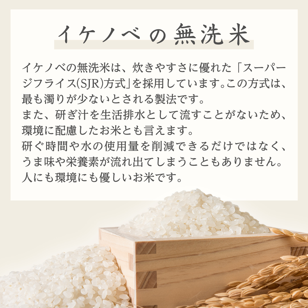 《令和6年産》茨城県産 無洗米 コシヒカリ 20kg ( 5kg × 4袋 ) こしひかり 米 コメ こめ 五ツ星 高品質 白米 精米 時短 期間限定 新米