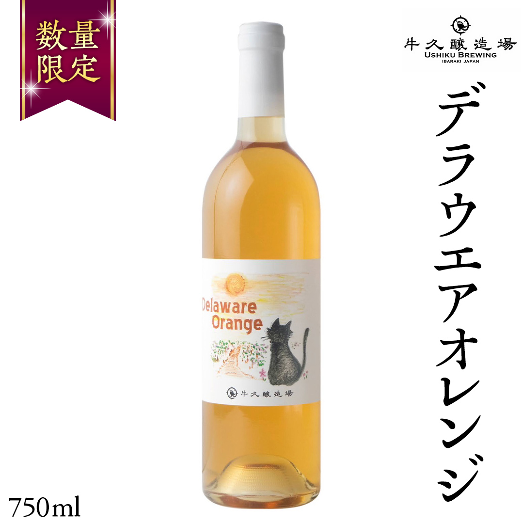 デラウエアオレンジ Delaware Orange 750ml×1本 茨城県産 牛久醸造場 日本ワイン ワイン 750ml ミディアムボディ お酒 贈り物 葡萄 ぶどう オレンジワイン