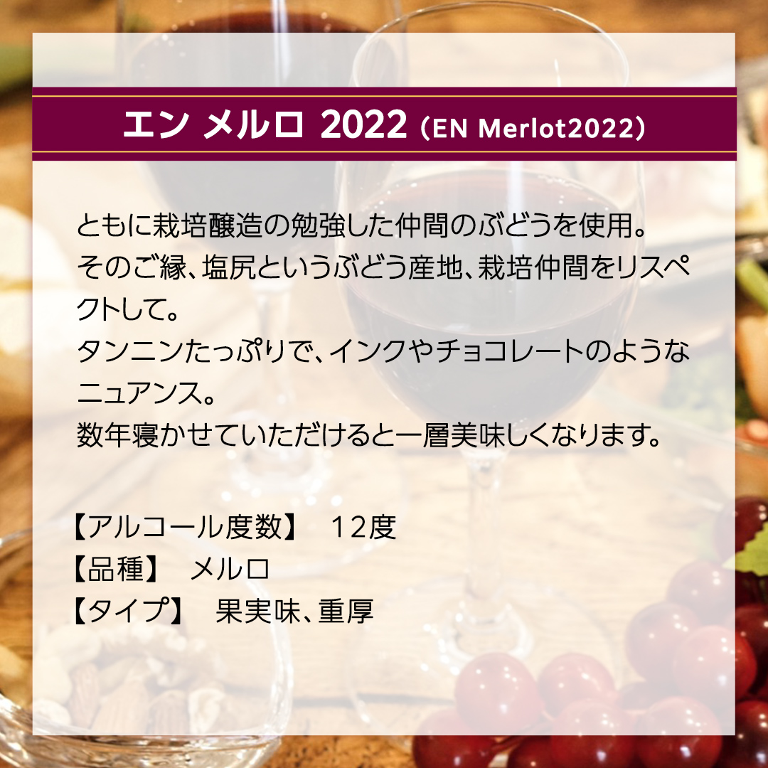 エン メルロ2022 EN Merlot2022 750ml×1本 茨城県産 牛久醸造場 日本ワイン ワイン 赤ワイン 750ml ミディアムボディ お酒 贈り物 葡萄 ぶどう