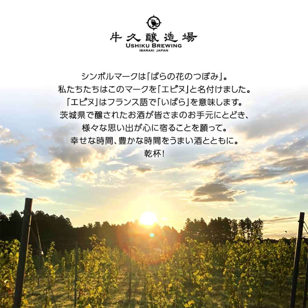 エン ヴィオニエ2023 EN Viognier 2023 750ml×1本 茨城県産 牛久醸造場 日本ワイン ワイン 白ワイン 750ml ミディアムボディ お酒 贈り物 葡萄 ぶどう