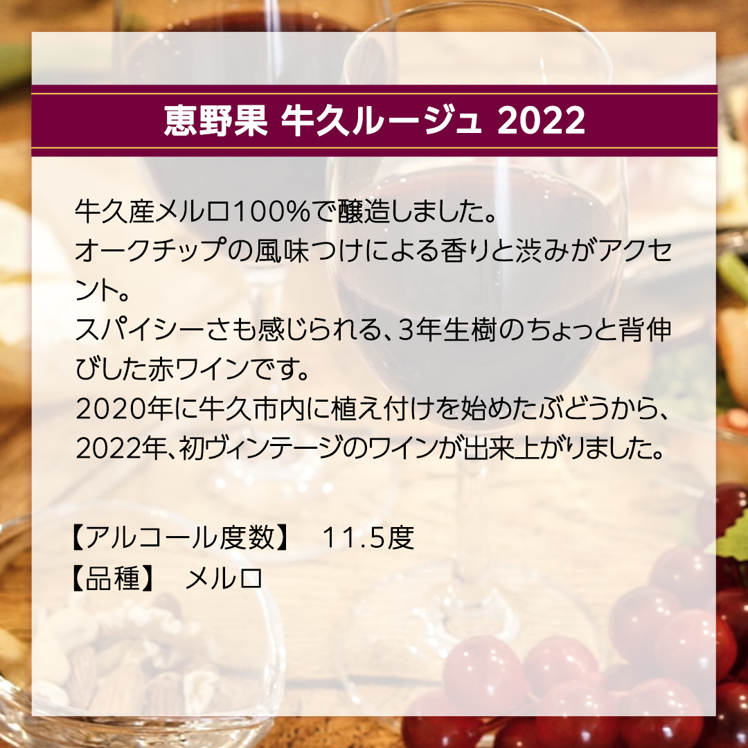 恵野果 牛久ルージュ 2022 750ml×1本 茨城県産 牛久醸造場 日本ワイン ワイン 赤ワイン 750ml ミディアムボディ お酒 贈り物 葡萄 ぶどう