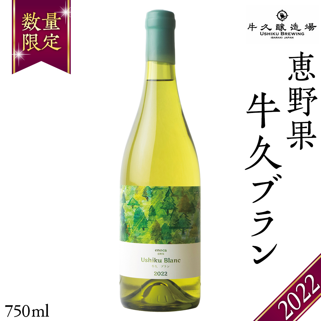 恵野果 牛久ブラン 2022 750ml×1本 茨城県産 牛久醸造場 日本ワイン ワイン 白ワイン 750ml ミディアムボディ お酒 贈り物 葡萄 ぶどう