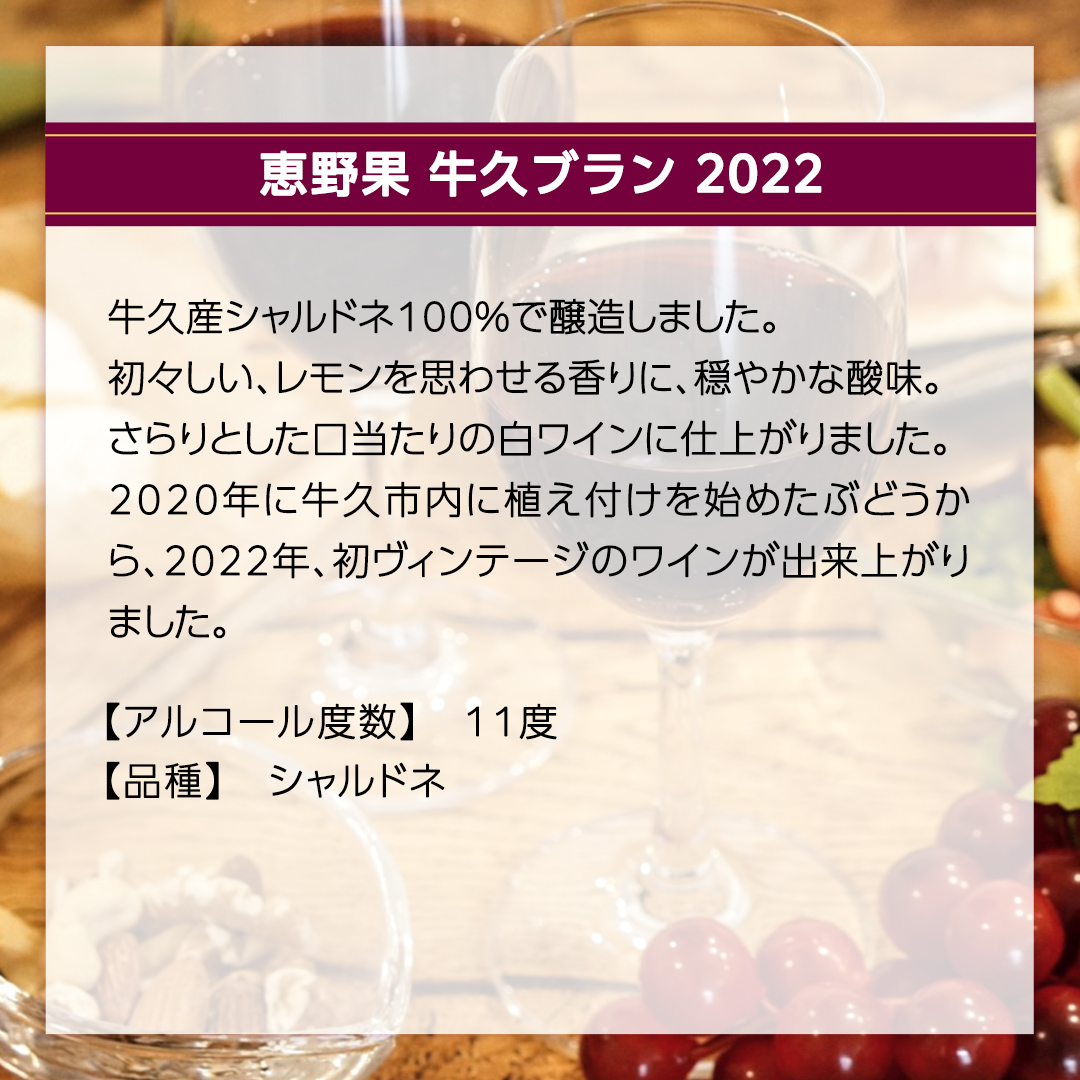 恵野果 牛久ブラン 2022 750ml×1本 茨城県産 牛久醸造場 日本ワイン ワイン 白ワイン 750ml ミディアムボディ お酒 贈り物 葡萄 ぶどう