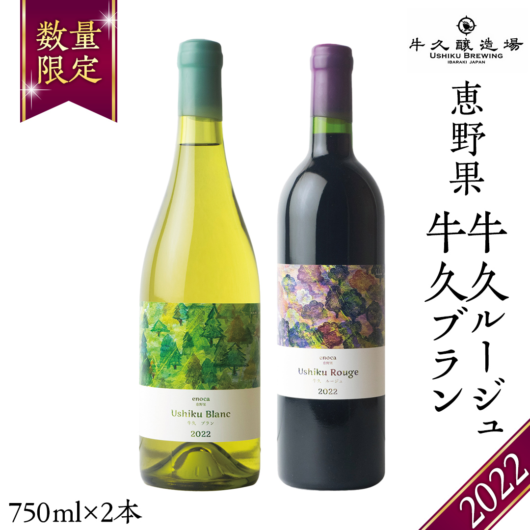 恵野果 牛久ルージュ 2022・恵野果 牛久ブラン 2022 の 750ml×2本セット 茨城県産 牛久醸造場 日本ワイン ワイン 赤ワイン 白ワイン 750ml ミディアムボディ お酒 贈り物 葡萄 ぶどう