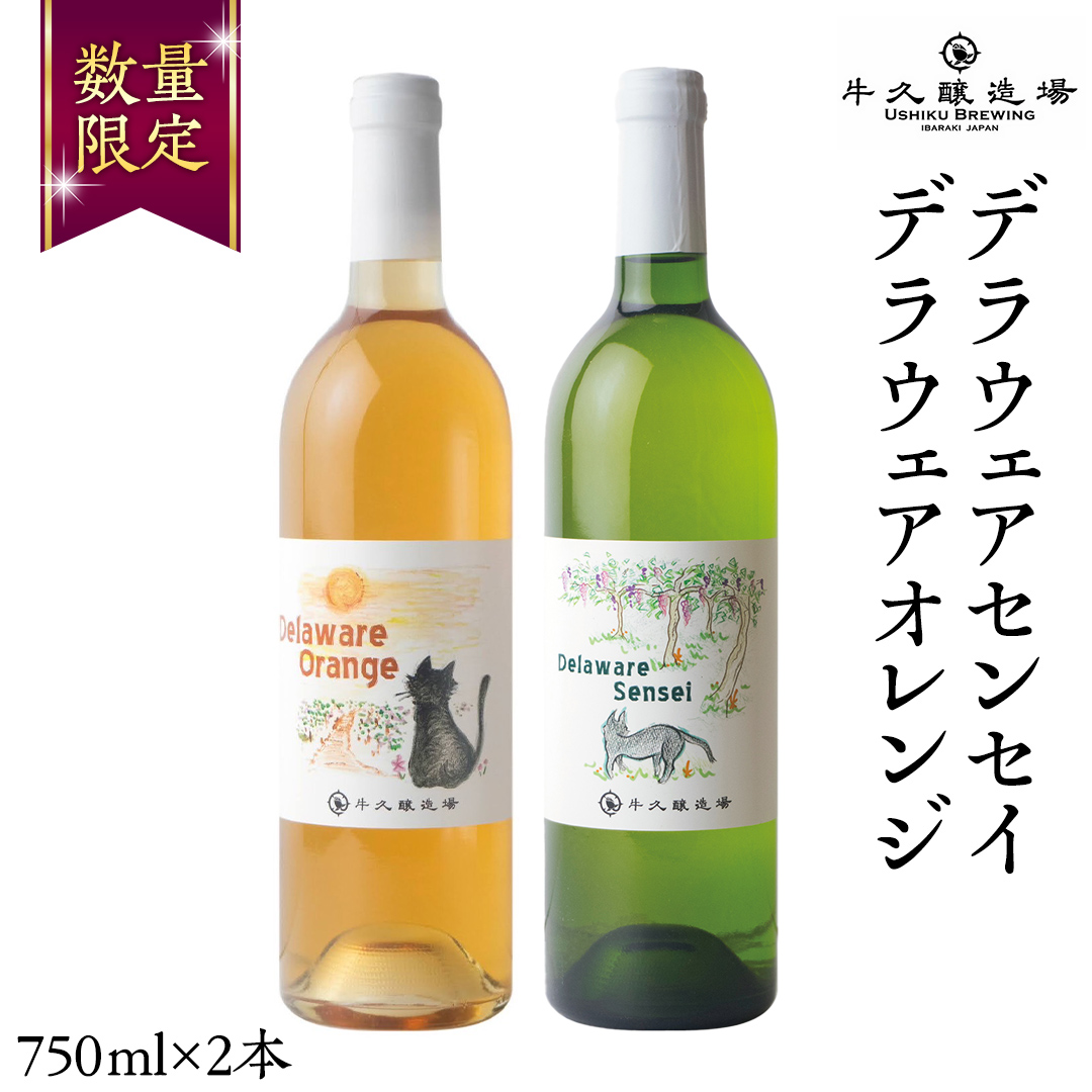 デラウェアセンセイ・デラウェアオレンジ の 750ml×2本セット 茨城県産 牛久醸造場 日本ワイン ワイン 白ワイン 750ml ミディアムボディ お酒 贈り物 葡萄 ぶどう オレンジワイン