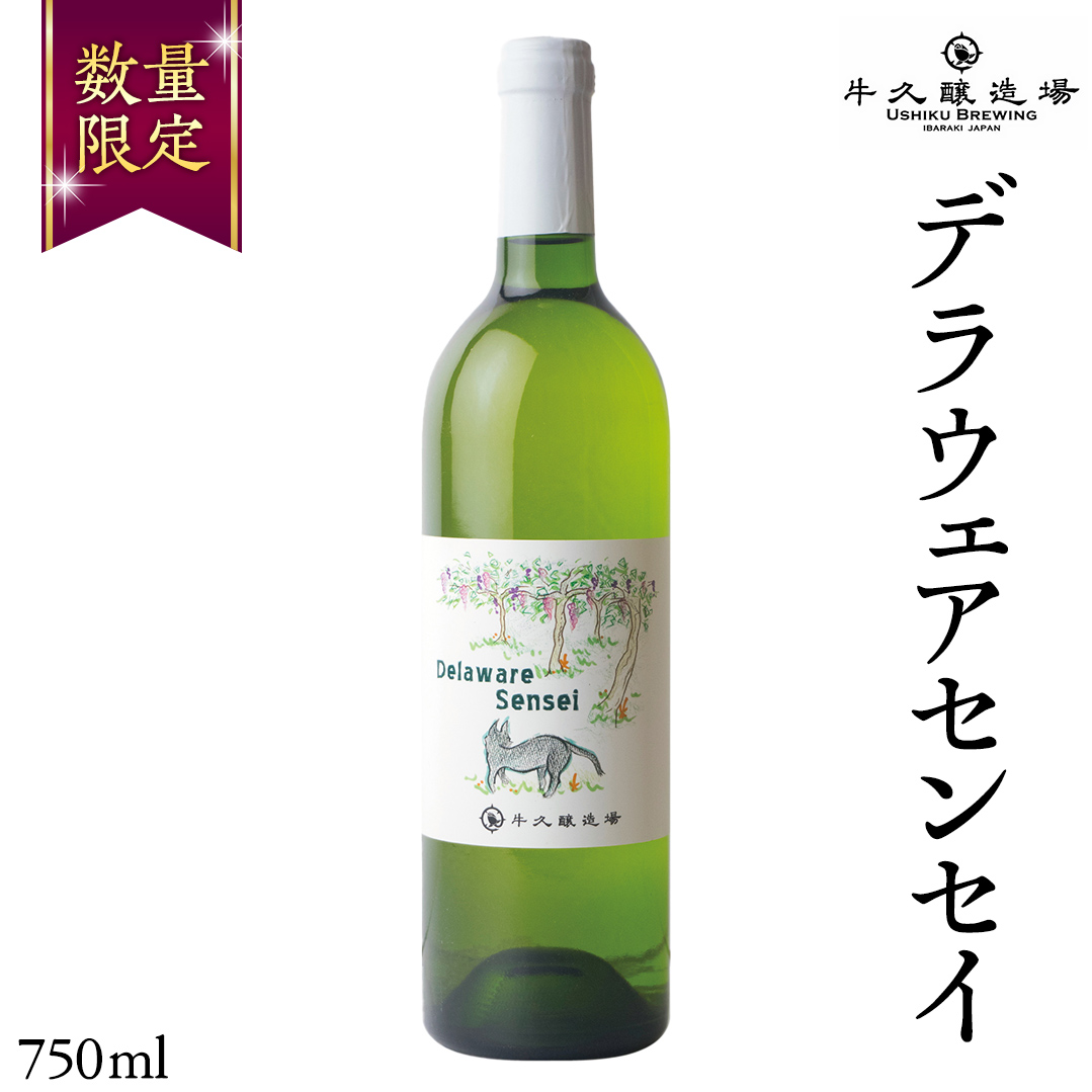 デラウェアセンセイ Delaware Sensei 750ml×1本 茨城県産 牛久醸造場 日本ワイン ワイン 白ワイン 750ml ミディアムボディ お酒 贈り物 葡萄 ぶどう